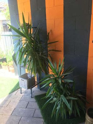 Las Piscinas Balmaseda plantas